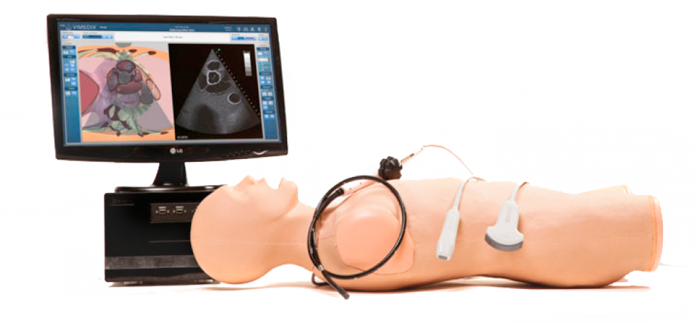 ultrasound simulator