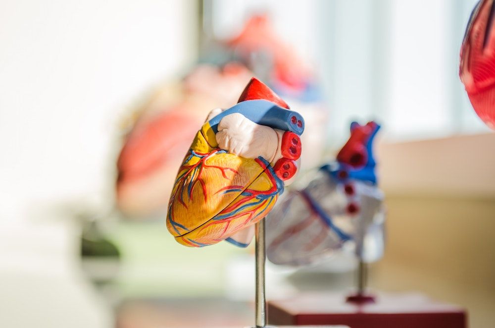 Physiology Basics for Simulation Technicians: Cardiovascular System and Cardiac Rhythms