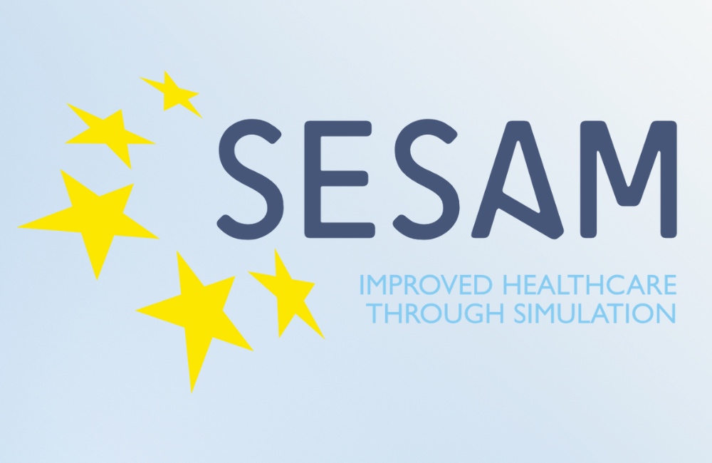Society for Simulation in Europe (SESAM), Healthcare Simulation